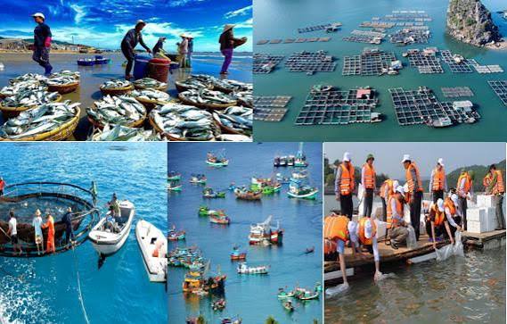 Thủy sản Việt Nam cần mô hình cảnh báo môi trường biển thông minh - Người Nuôi Tôm