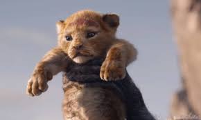 Afinal, novo Rei Leão é ou não é live-action? - Jornal O Globo