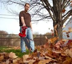 A compact design makes our leaf blowers easy to handle, comfortable to use, and lightweight. Echo Blowerspowerful Productive And Quiet An Echo Leaf Blower Will Make Quick Work Of Any Yard Clean Up The Line Up Of Power Leaf Leaf Blowers Yard Blowers