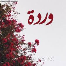أجمل عبارات تهنئة عيد ميلاد سعيد 2022 كلام عيد ميلاد للأصدقاء ,كثيرا ما نبحث عن كلمات ذات لحن وعبارات جديدة لتهنئة اقاربنا او أصدقائنا او الاهل و الاحباب ØµÙˆØ± Ø§Ø³Ù… ÙˆØ±Ø¯Ø© Ù‚Ø§Ù…ÙˆØ³ Ø§Ù„Ø£Ø³Ù…Ø§Ø¡ Ùˆ Ø§Ù„Ù…Ø¹Ø§Ù†ÙŠ
