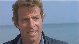 The Last Shark (1981)