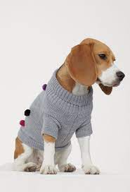 Favorite Things Friday October 26 2018 Cute Beagles Dog Raincoat Dog Onesies