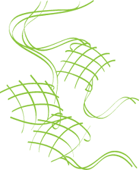 12 tempat menarik di pulau tioman untuk percutian pulau yang luarbiasa. Ketupat Png Gambar Ketupat Vector Free Download Free Transparent Png Logos