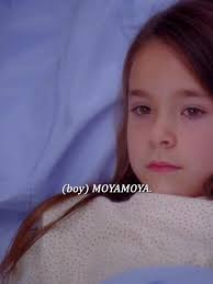 Greys Anatomy Emma and Daniel Twins Ending