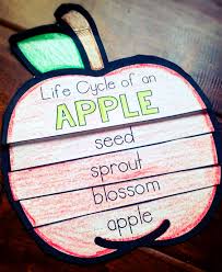 Pin On New Teachers