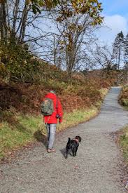 Simon Goldsmith 🇺🇦🇳🇴🇬🇧 (@LordGoldy)