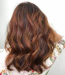 Lustrous Golden Copper Hair Colour Tones Bring Out The Warmth In Your Skin For A Glowing Rosy Co Copper Hair Color Golden Copper Hair Color Hair Colour Design