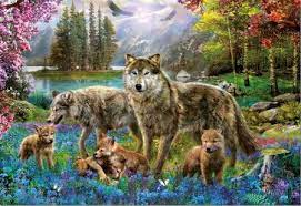 Wolf Family Desktop Nexus Wallpapers Animals Cross Paintings Family Canvas Print