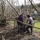 Single day Hedge-laying and Coppicing Course... event in Knighton