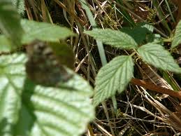 Mums Holiday 2005 064 | timhunter1968@btinternet.com | Flickr