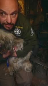 After years of championing animal protection, the Humane Society of the  United States and Humane Society International are uniting efforts under  one name: Humane World for Animals.  Our love for ...