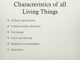 Try these fun learning activities for 2nd graders. Living Things 7th Grade Science Ppt Video Online Download