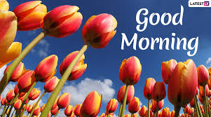 Join nubiles.net, the teen megasite that started it all! Viral News Good Morning Quotes Hd Images Whatsapp Messages For Free Download Online Latestly