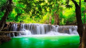 Download wallpapers that are good for the selected resolution: Nature Trees Waterfall Water Green River 4k Wallpaper Best Wallpapers