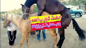 خواندنی و دیدنی