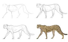 In this last step we will paint the spots on the cheetah's body. Sketchbook Original How To Draw Big Cats Monika Zagrobelna