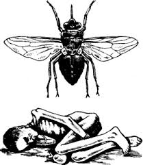 текст при наведении