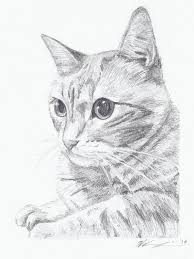 Deze Kat Is Mooi Om Te Tekenen Maar Ook Zeer Moeilijk Dieren Tekenen Kat Schets Katten Tekening