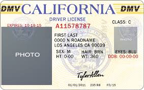 Drivers ed study buddy's indiana driver license test, provides unlimited free driver license. Mr Generator
