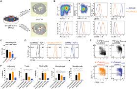 frontiers myocarditis elicits dendritic cell and monocyte