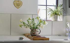 Aquí encontrarás las mejores plantas artificiales para baños con las que decorarás de la mejor forma posible sin perder la esencia de tu hogar. Plantas Para El Bano Cuales Son Las Adecuadas Para Tu Bano