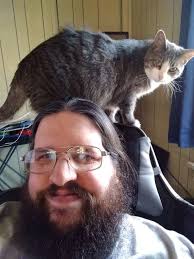 Team — Full Hearts Cat Rescue ❤❤❤