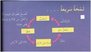 الصف الرابع العلوم