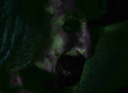 The Witch of the Woods | Monster and Slashers Wiki | Fandom