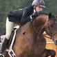 Ludwig's Corner Horse Show and Country Fair