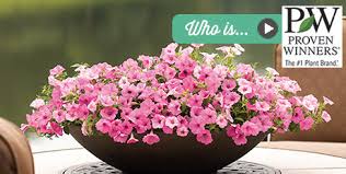 Check spelling or type a new query. Proven Winners The 1 Plant Brand