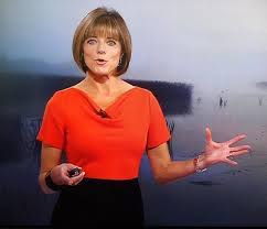 She has appeared on bbc news, bbc world news, bbc red button and bbc radio. Louise Lear Biography Affair Married Husband Ethnicity Nationality Salary Net Worth Height Bbc Weather Hottest Weather Girls News Presenter