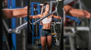 Image result for Erica evansii