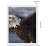 Amazon.com: LPSADGF Diamond Painting Kits for Adults ...