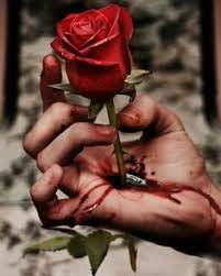 Browse 2,106 blood love stock photos and images available, or start a new search to explore more stock photos and images. 13 Love Hurts Ideas Love Hurts Life Quotes Love Quotes