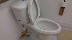 Check spelling or type a new query. Bathroom Tour Aquasource Dual Flush Toilet In A Pizza Place Youtube