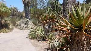 Huntington, ny at a glance. Huntington The Biggest Cactus And Succulent Collection In The World Youtube