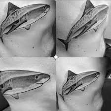 See shark tattoos of all kinds that push the boundaries of these ocean inhibitors. 50 Tiger Shark Tattoo Designs For Men Sea Tiger Ink Ideas