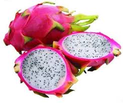For cuttings simple cut off a section from a mature plant and stick it into a. Rosemerc Impoerted Pitaya Dragon Fruit Seed Price In India Buy Rosemerc Impoerted Pitaya Dragon Fruit Seed Online At Flipkart Com