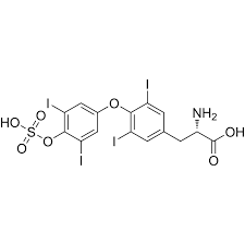 Image result for Thyroxine