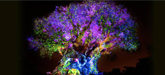 Remember lion king complete score. Tree Of Life Awakening The Lion King 2019