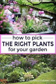 When you want the perfect landscape setting for your home, great care should be given to choosing the right plants for every section of your outdoor space. How To Choose The Best Plants For Your Garden Gardening From House To Home Landscaping Plants Plants Garden Images