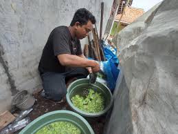 Maybe you would like to learn more about one of these? Berita Bisnis Budidaya Ikan Guppy Saat Pandemi Covid 19 Dapat Menghasilkan Kanal Berita Pemkab Batang
