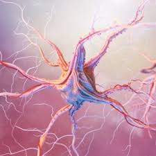 Manga that mans epilepsy bahasa indonesia selalu update di mangakid.site.jangan lupa membaca update manga lainnya ya. I Am Not Cursed Says Epileptic Man Health24
