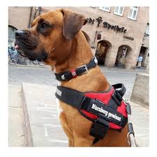 Julius K9 Idc Harness For Blind Guide Dogs