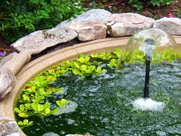This type of garden not only incorporates native trees and shrubs, but wildflowers and native grasses as well. How To Design A Great Yard With Landscape Plants Diy