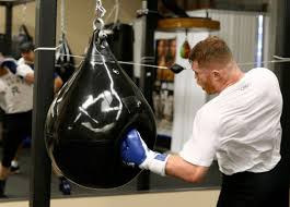 top 5 best water punching bags smartmma