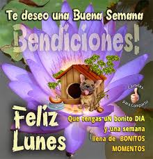 Resultado de imagem para feliz lunes