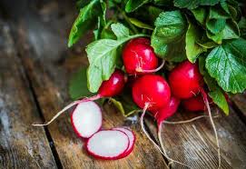 Par exemple, il y a les bégonias, les fuchsias les fruits à destination d'un carré potager à la mi ombre. Reussir Son Potager Avec Des Legumes Qui Poussent A L Ombre