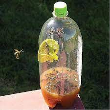 Touch device users, explore by touch or with swipe gestures. How To Make A Yellow Jacket Bottle Trap The Garden