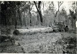 Getting Log From Forest For Muckerts Sawmill Laidley Forest Hill Country Roads Forest